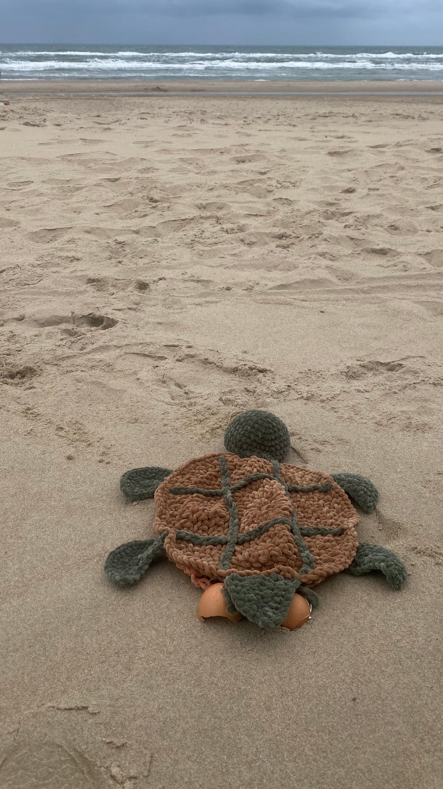 Boter,kaas en eieren schildpad